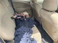 2011 Mitsubishi Coltplus