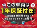 2013 Toyota PRIUS α