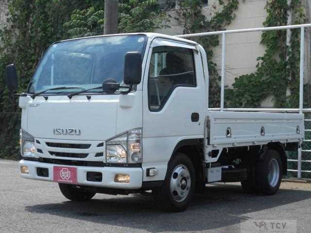 2018 Isuzu Elf Truck