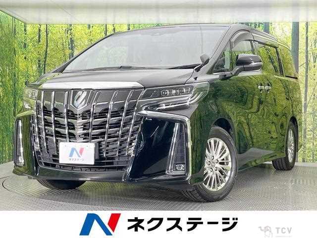2019 Toyota Alphard G