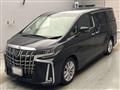 2020 Toyota Alphard G