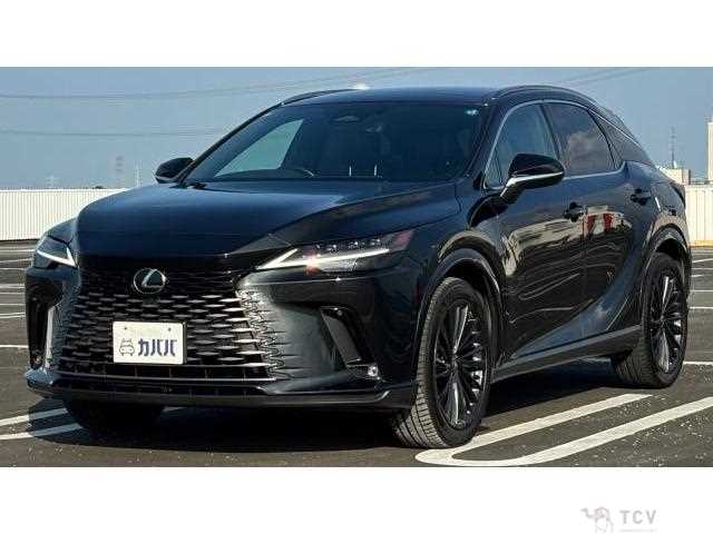 2024 Lexus RX