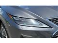 2022 Lexus RX