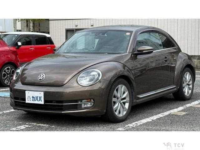 2014 Volkswagen Beetle