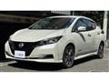 2021 Nissan Leaf