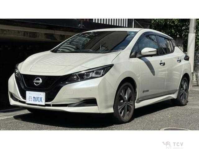 2021 Nissan Leaf