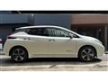2021 Nissan Leaf