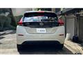 2021 Nissan Leaf