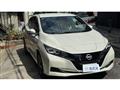 2021 Nissan Leaf