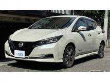 2021 Nissan Leaf