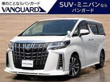 2019 Toyota Alphard G