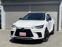 2025 Lexus RX