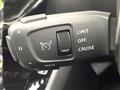 2020 Peugeot Peugoet Others