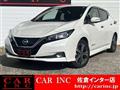 2020 Nissan Leaf