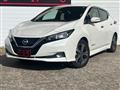 2020 Nissan Leaf