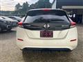 2020 Nissan Leaf
