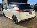 2019 Nissan Leaf
