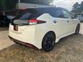 2019 Nissan Leaf