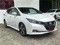 2018 Nissan Leaf