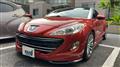 2010 Peugeot Peugoet Others