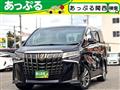 2021 Toyota Alphard G
