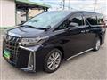 2021 Toyota Alphard G