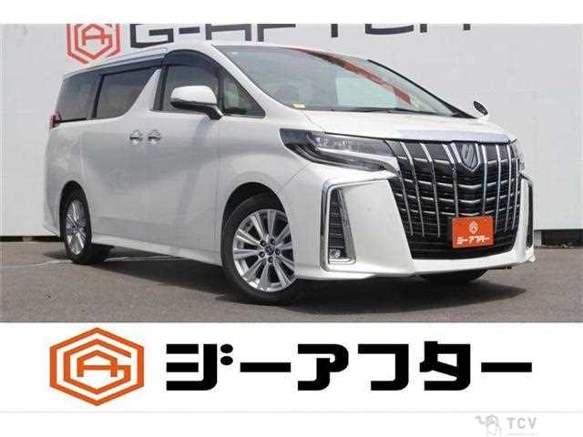2019 Toyota Alphard G