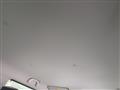 2014 Suzuki Lapin