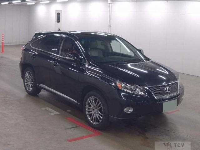 2010 Lexus RX