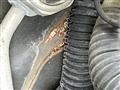 2009 Honda ZEST SPARK
