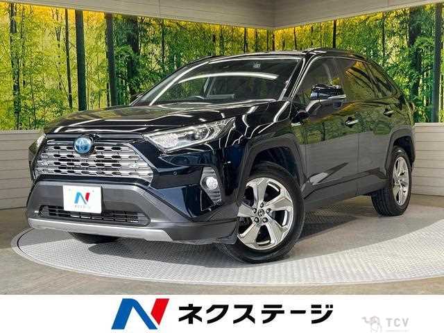 2019 Toyota RAV4