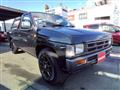 1994 Nissan Dutsun Truck
