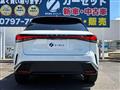 2025 Lexus RX