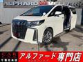 2020 Toyota Alphard G
