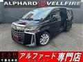 2019 Toyota Alphard G