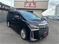 2019 Toyota Alphard G