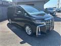 2019 Toyota Alphard G