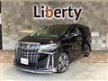 2019 Toyota Alphard G