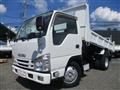 2015 Isuzu Elf Truck