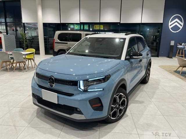 2025 Citroen C3
