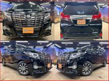 2016 Toyota Alphard G