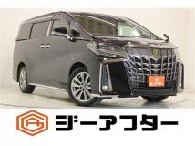 2020 Toyota Alphard G