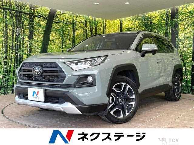 2019 Toyota RAV4