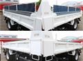 2019 Isuzu Elf Truck