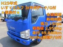 2013 Isuzu Elf Truck