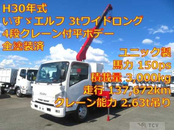 2018 Isuzu Elf Truck