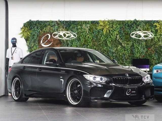2014 BMW BMW Others