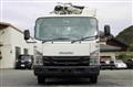 2020 Isuzu Elf Truck