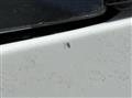 2025 Mitsubishi Fuso Super Great