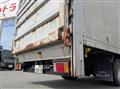 2014 Isuzu Elf Truck